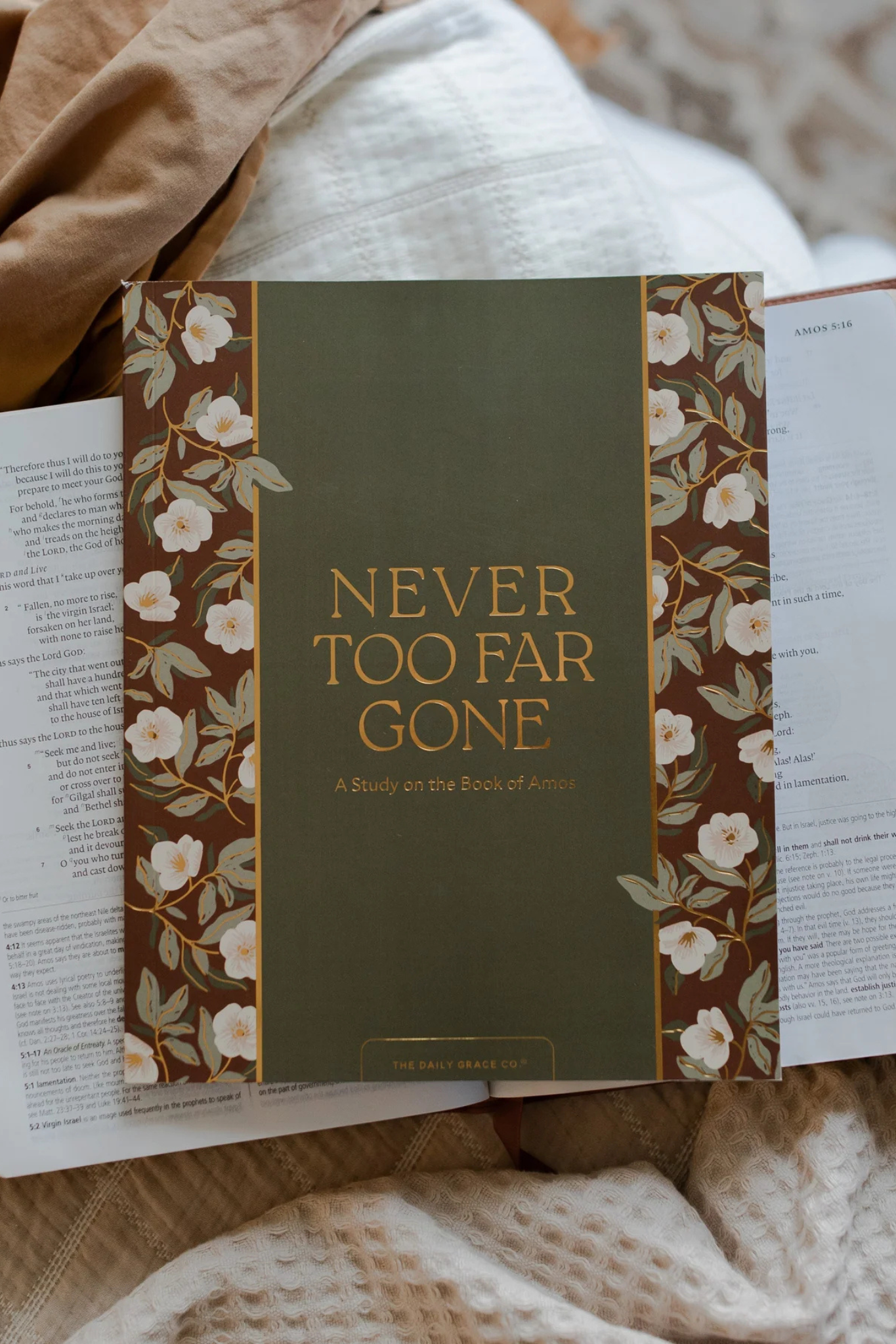 Never Too Far Gone | A Study on the Book of Amos