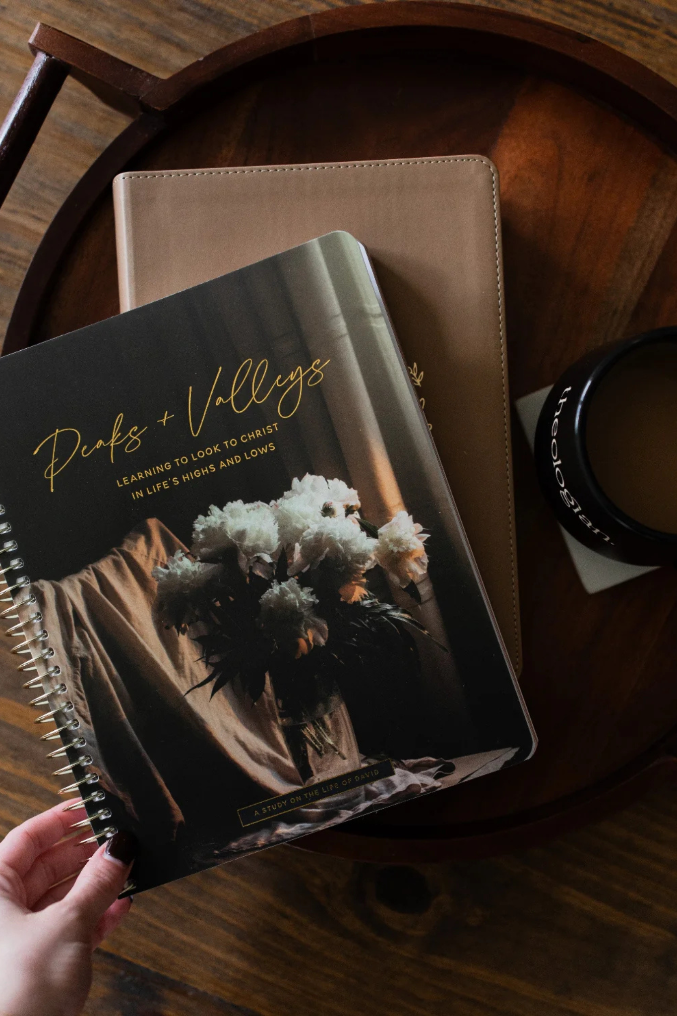 Peaks and Valleys | A Study on the Life of David