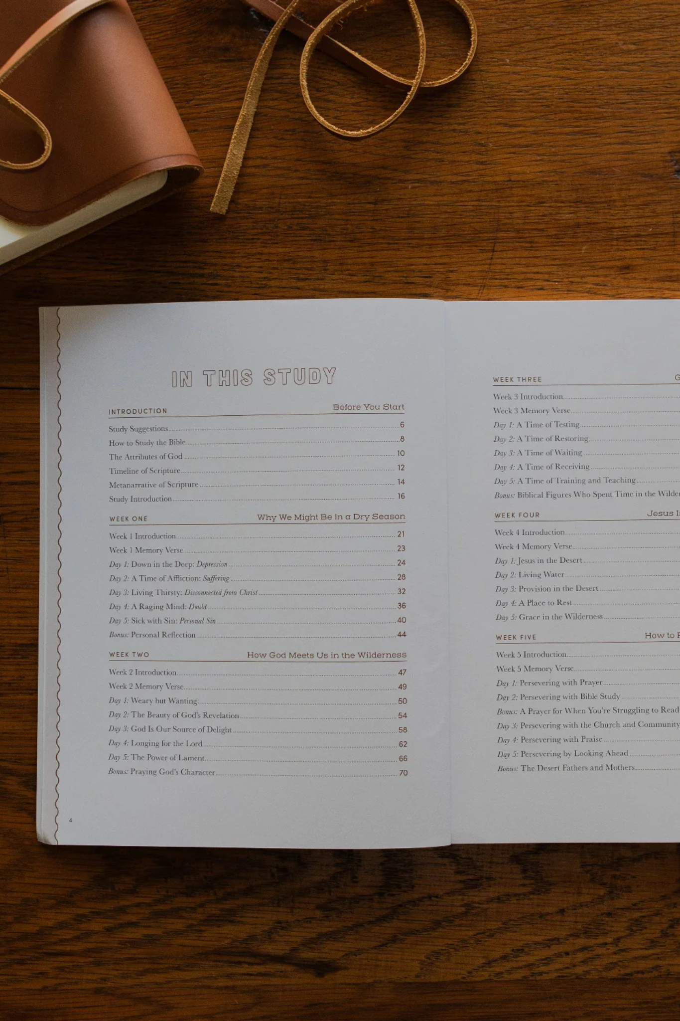 Rivers of Renewal Study