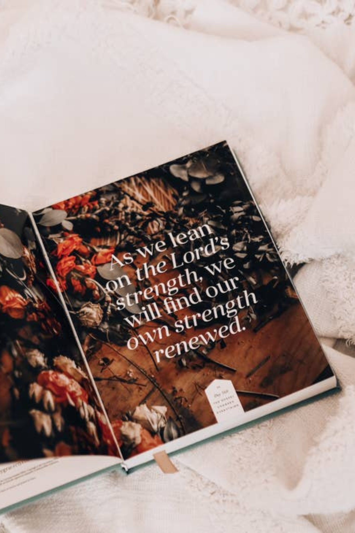 The Gospel Changes Everything | 365-Day Devotional