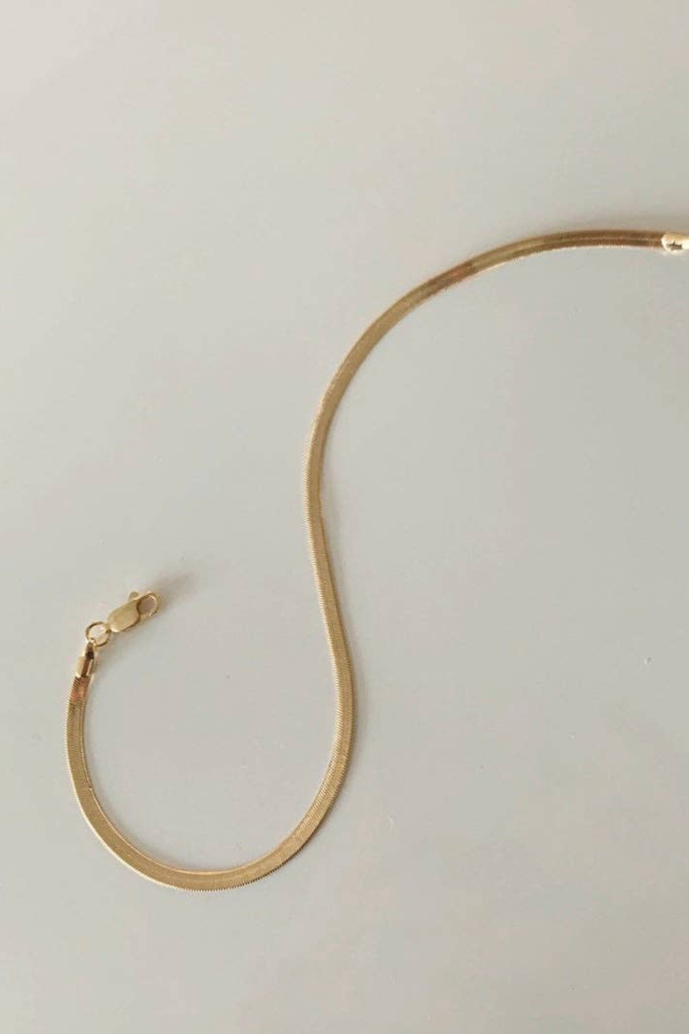 Dainty Snake Anklet