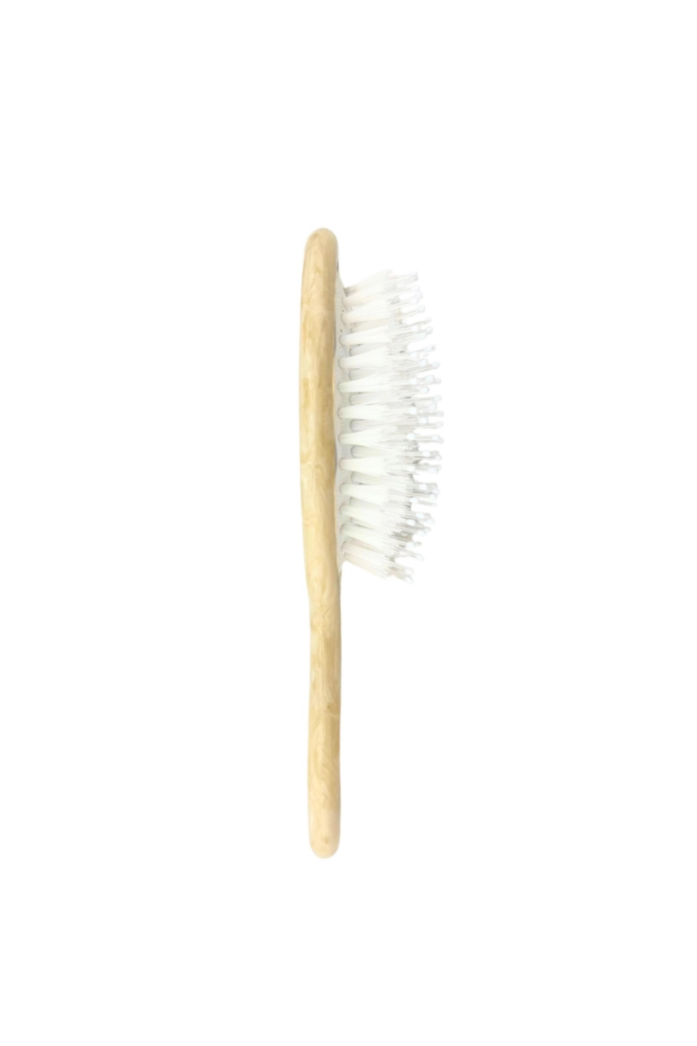 Palm Tree Handbag Hero Brush