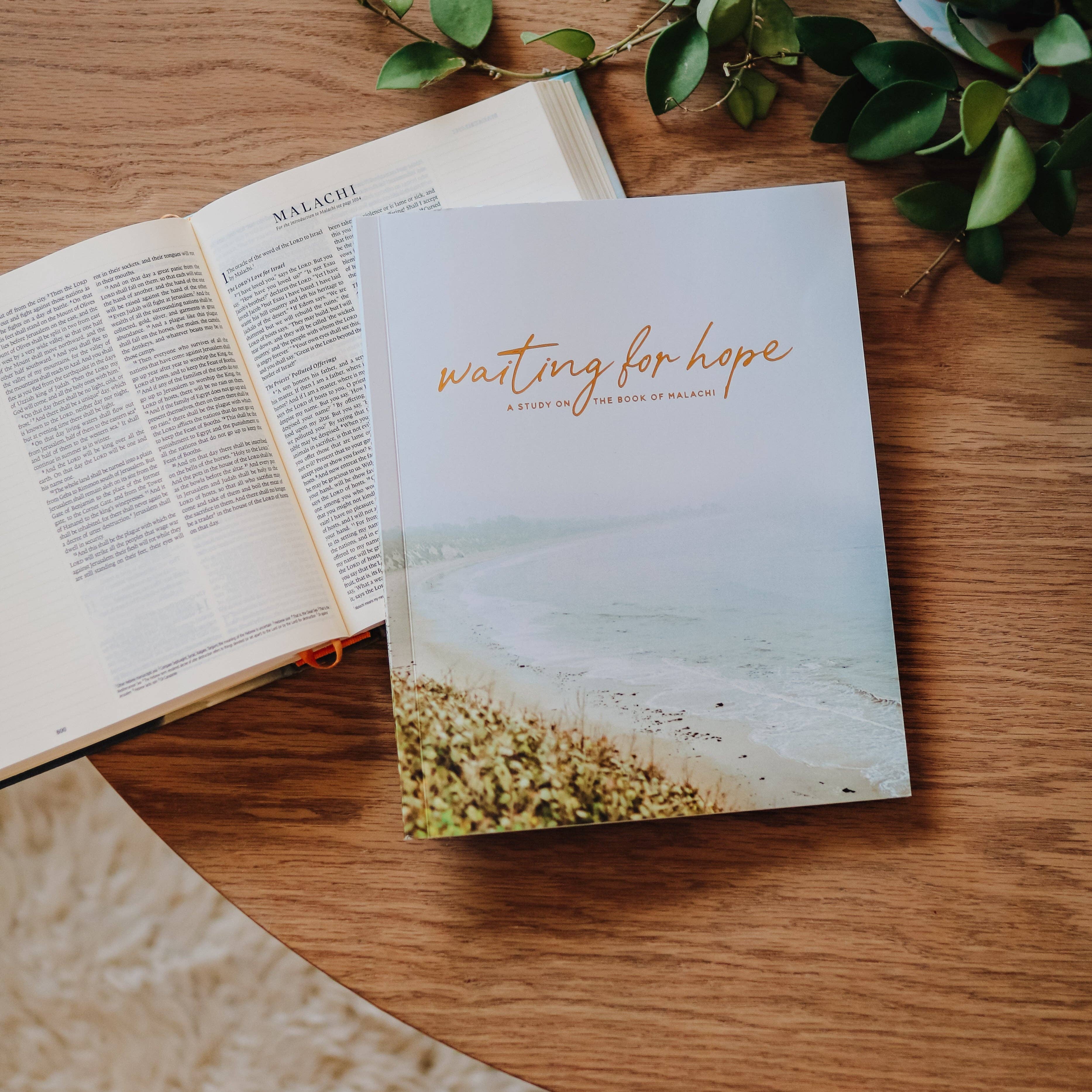 Waiting For Hope | Malachi Study