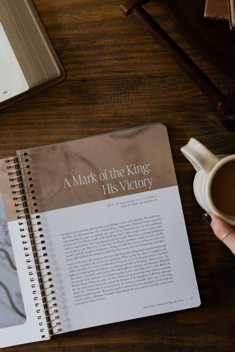Peaks and Valleys | A Study on the Life of David