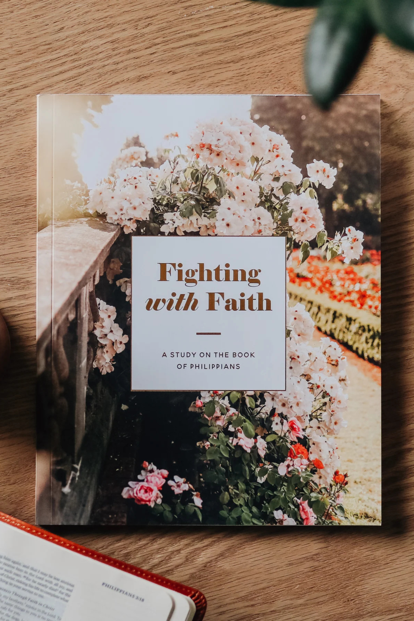 Fighting with Faith | Philippians Study