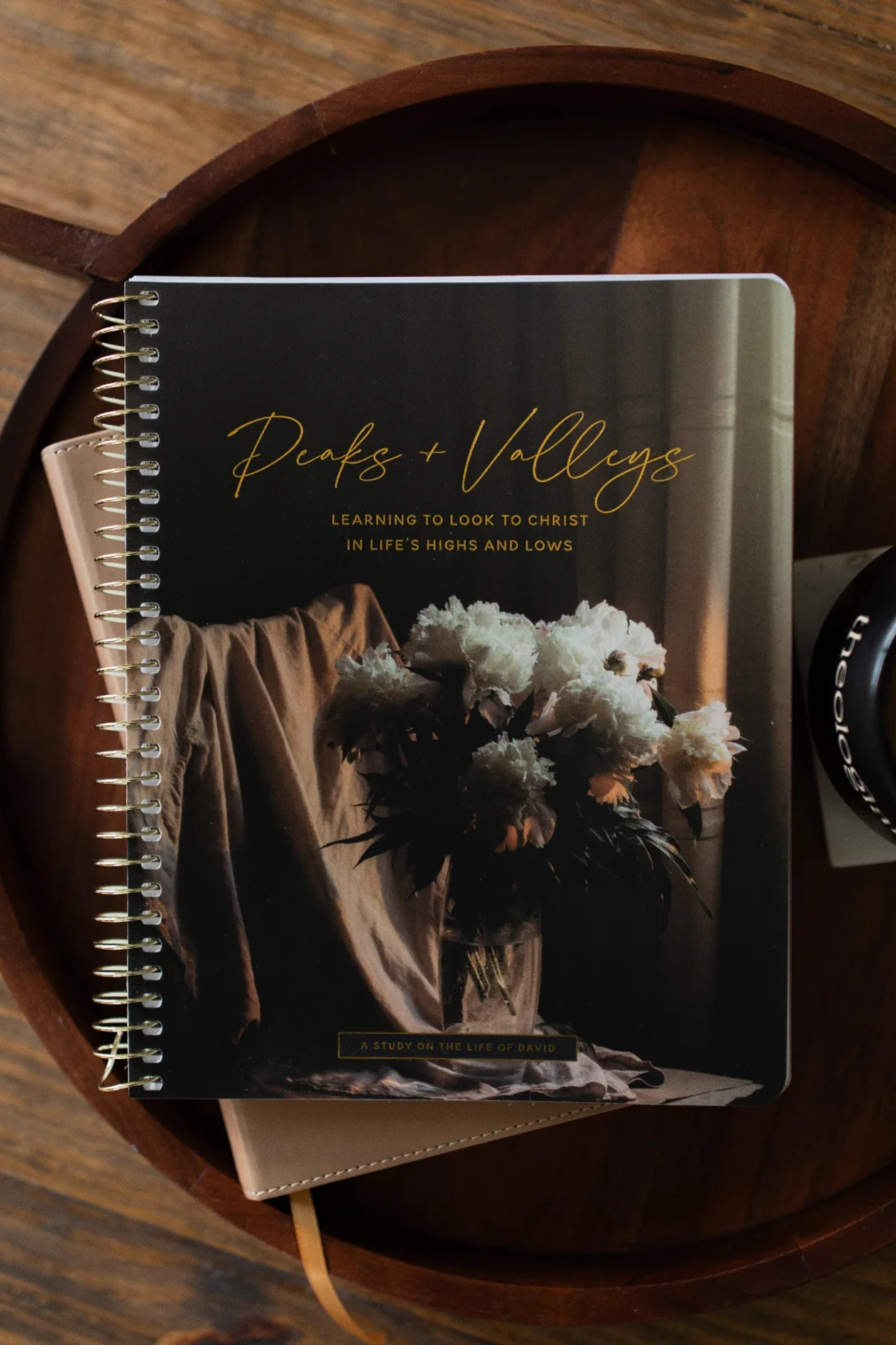 Peaks and Valleys | A Study on the Life of David