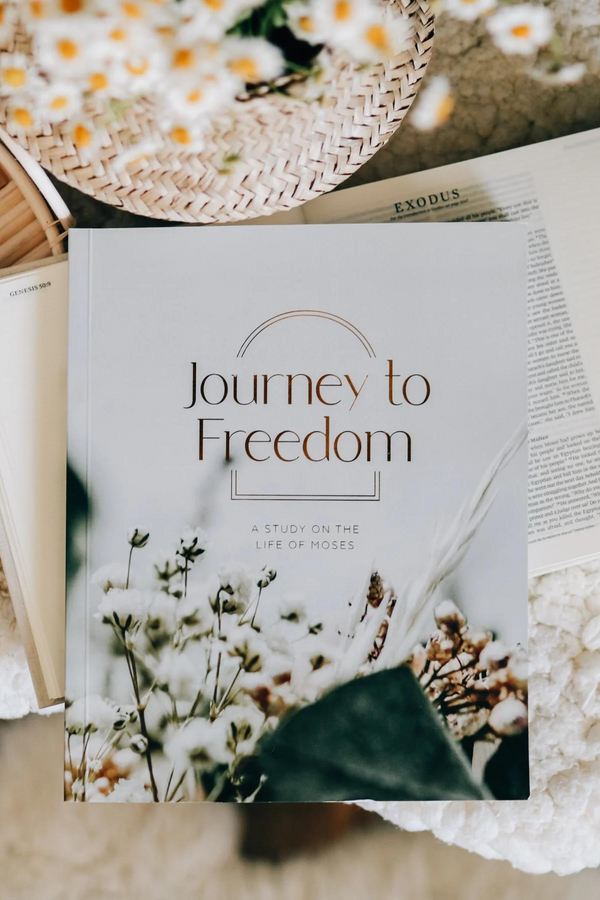 Journey to Freedom | The Life of Moses