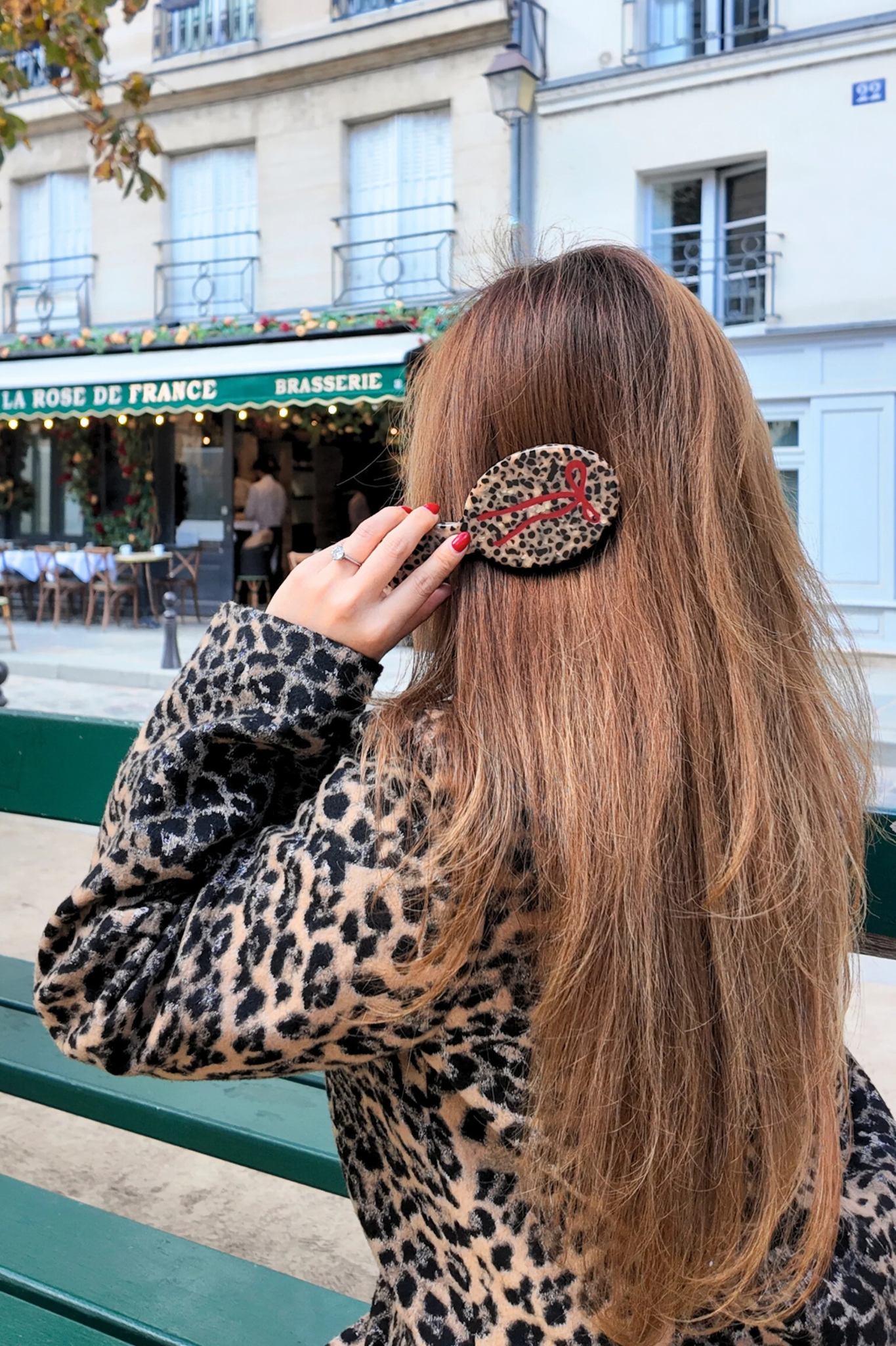 Leopard Bow Handbag Hero Brush