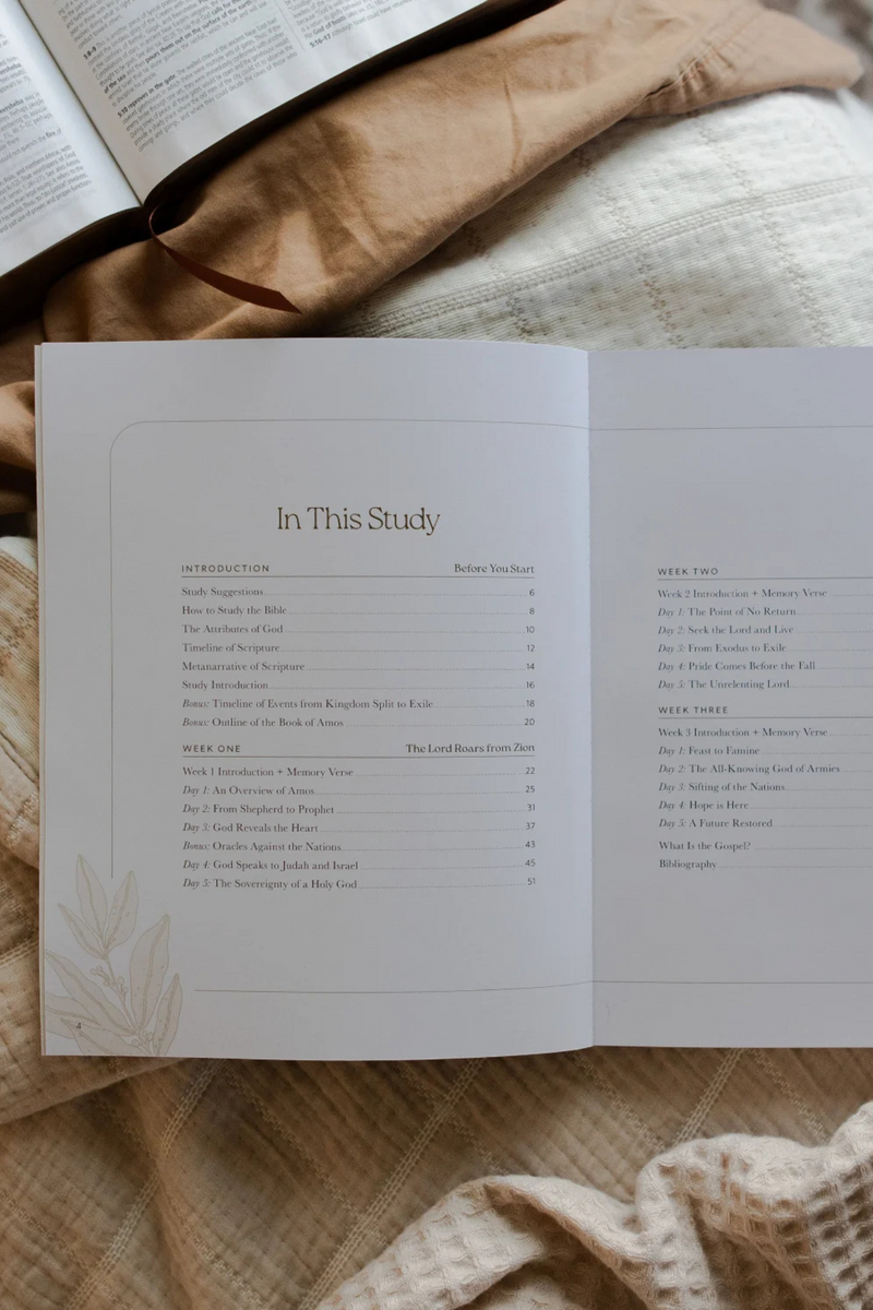 Never Too Far Gone | A Study on the Book of Amos