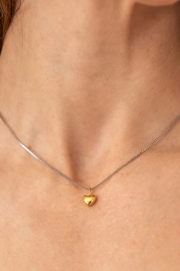 Dainty Two-Tone Heart Necklace