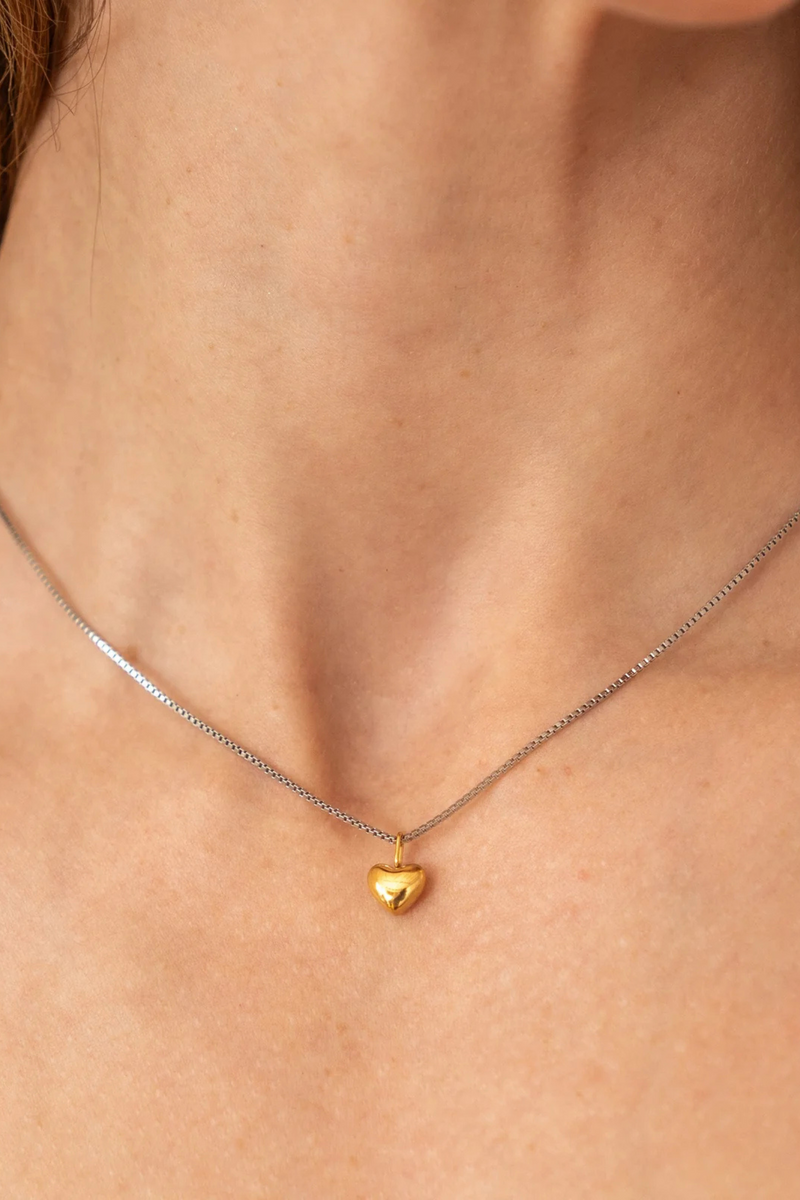 Dainty Two-Tone Heart Necklace