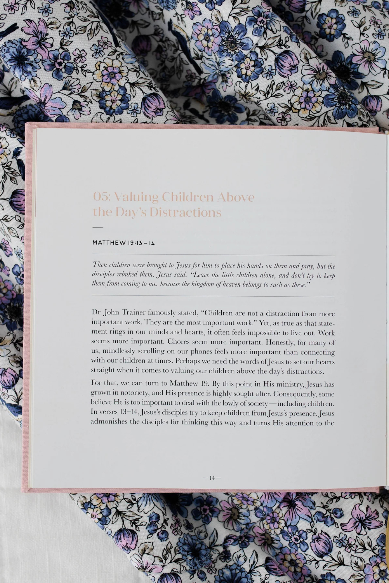 Steadfast Motherhood | 60 Days of Abiding in Christ