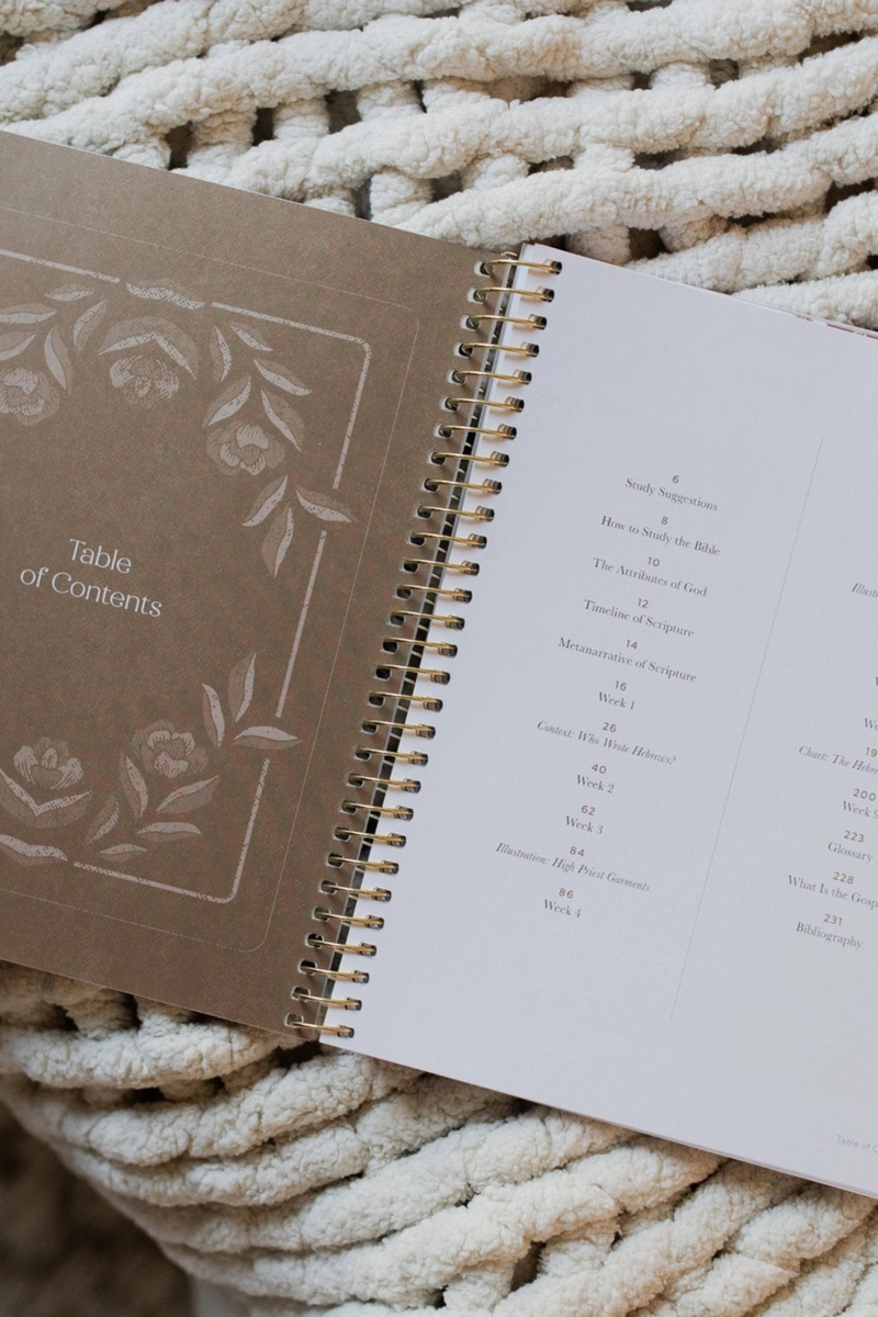 Jesus Is Better | A Study on the Book of Hebrews