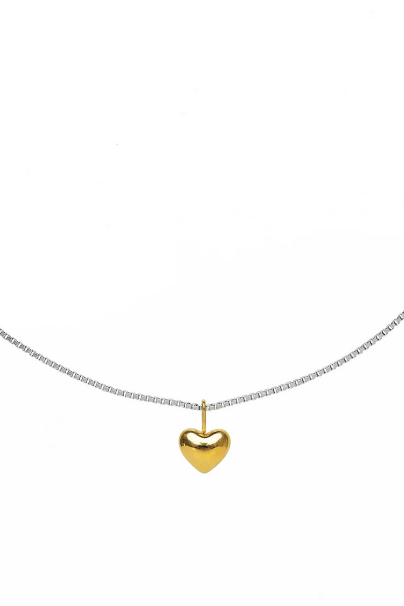 Dainty Two-Tone Heart Necklace
