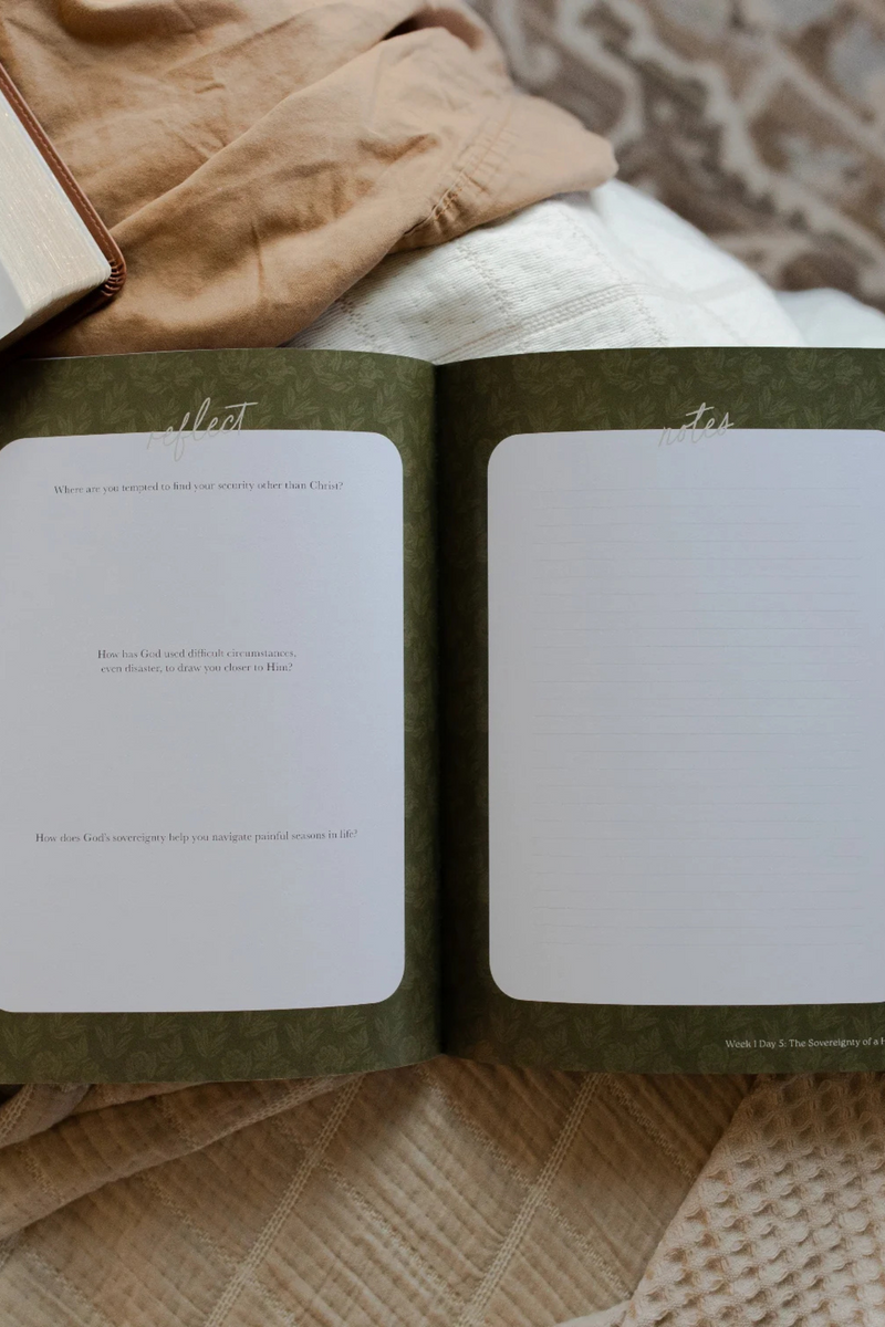 Never Too Far Gone | A Study on the Book of Amos
