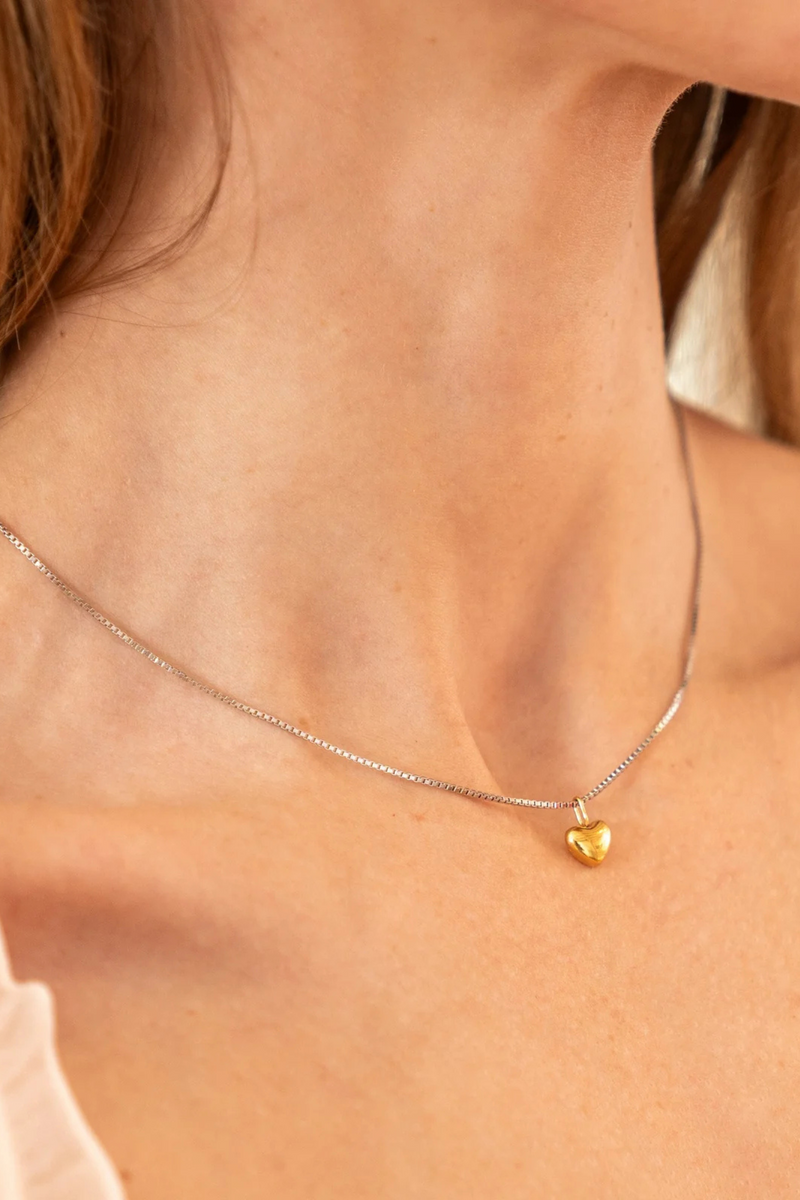 Dainty Two-Tone Heart Necklace