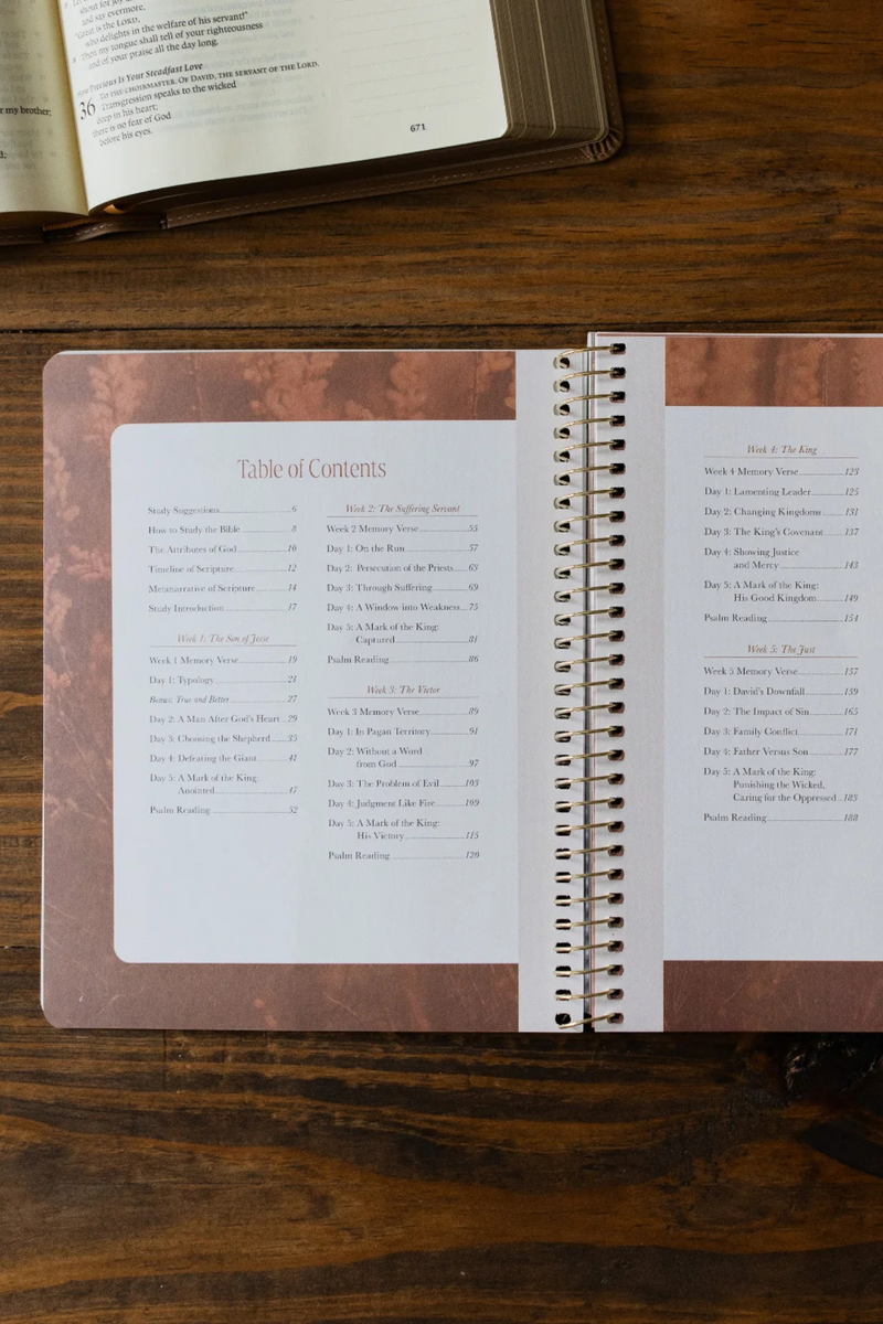 Peaks and Valleys | A Study on the Life of David