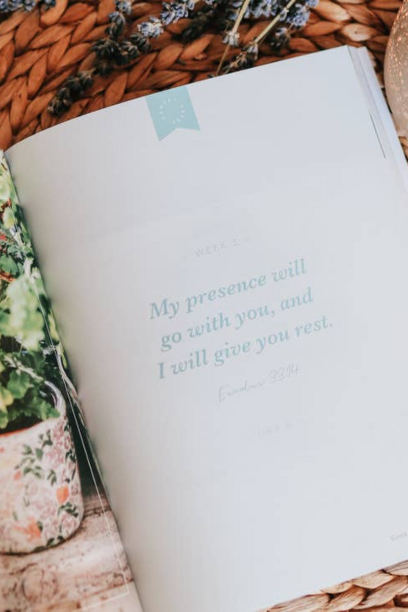 Rest | From Eden To Eternity Study