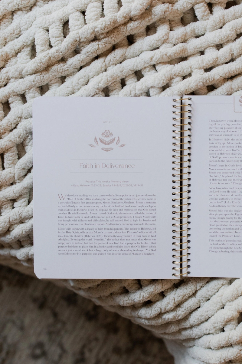 Jesus Is Better | A Study on the Book of Hebrews