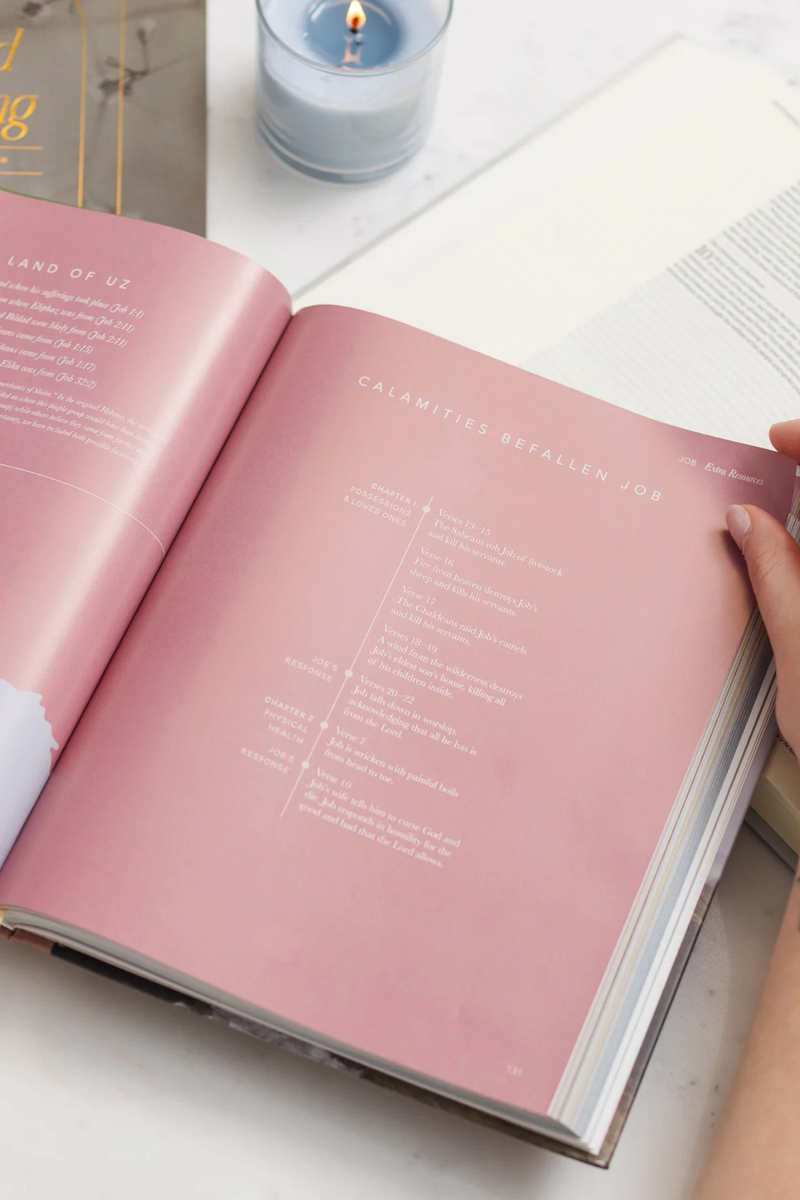 The Bible Handbook