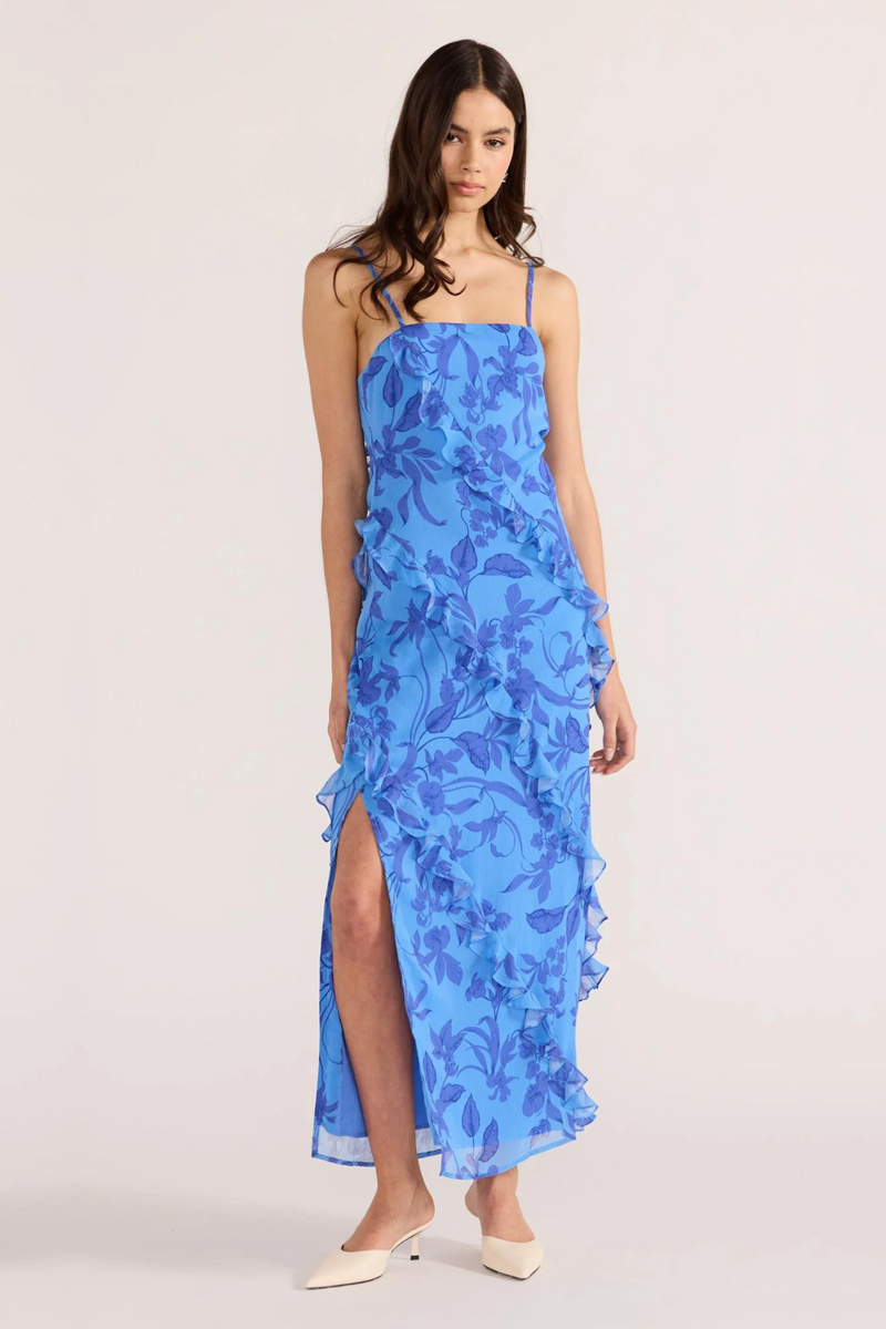 Jeanne Blue Floral Maxi Dress