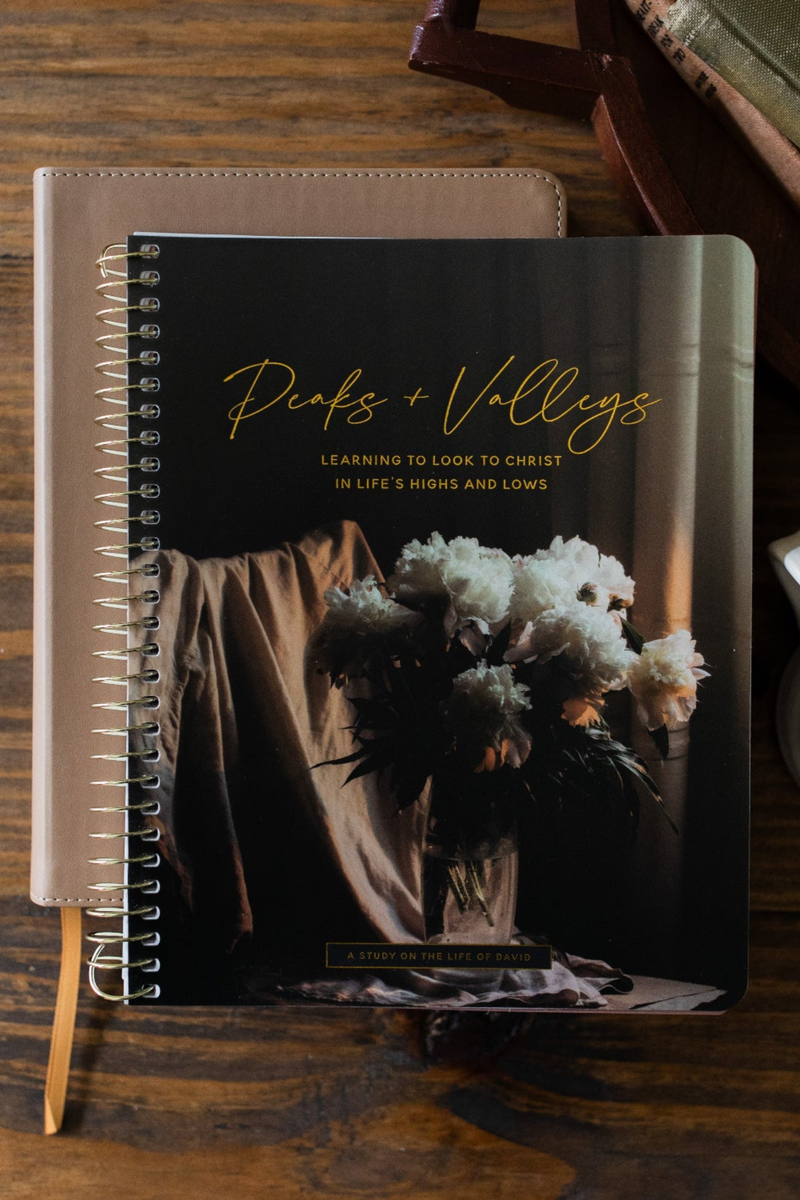 Peaks and Valleys | A Study on the Life of David