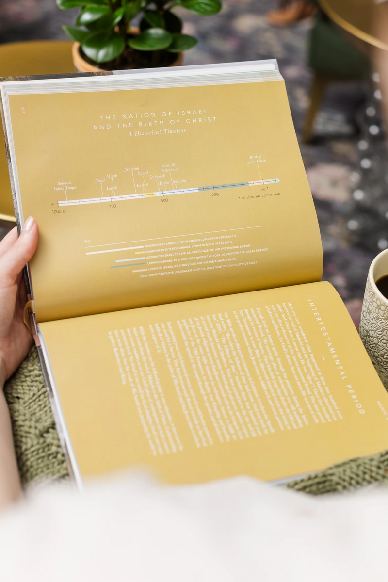 The Bible Handbook