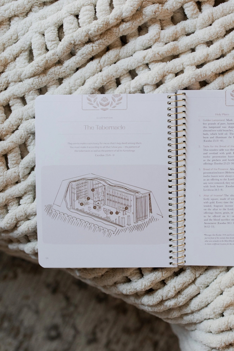 Jesus Is Better | A Study on the Book of Hebrews