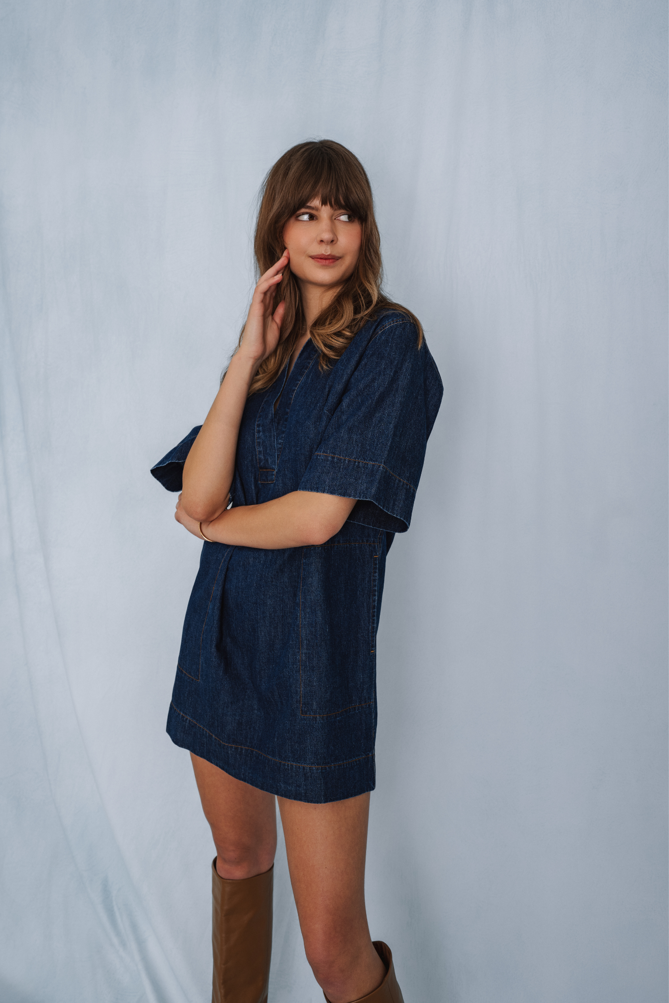 Evelina Denim Dress