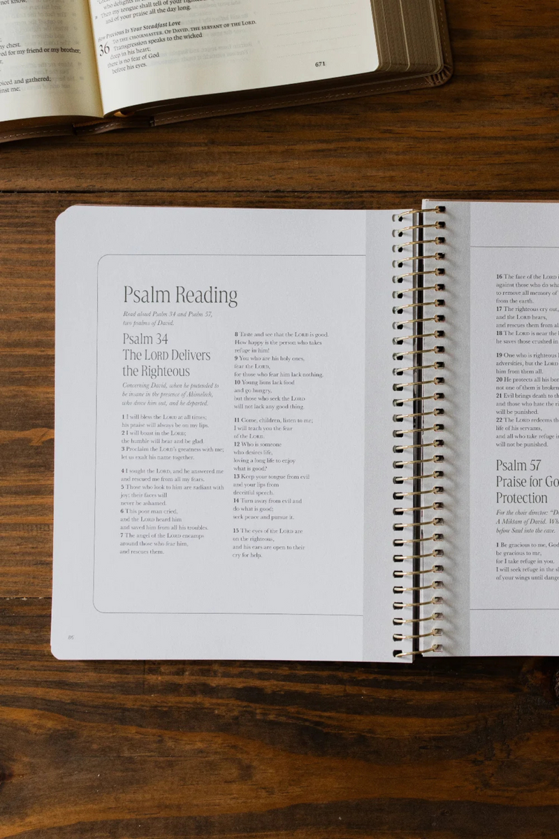 Peaks and Valleys | A Study on the Life of David