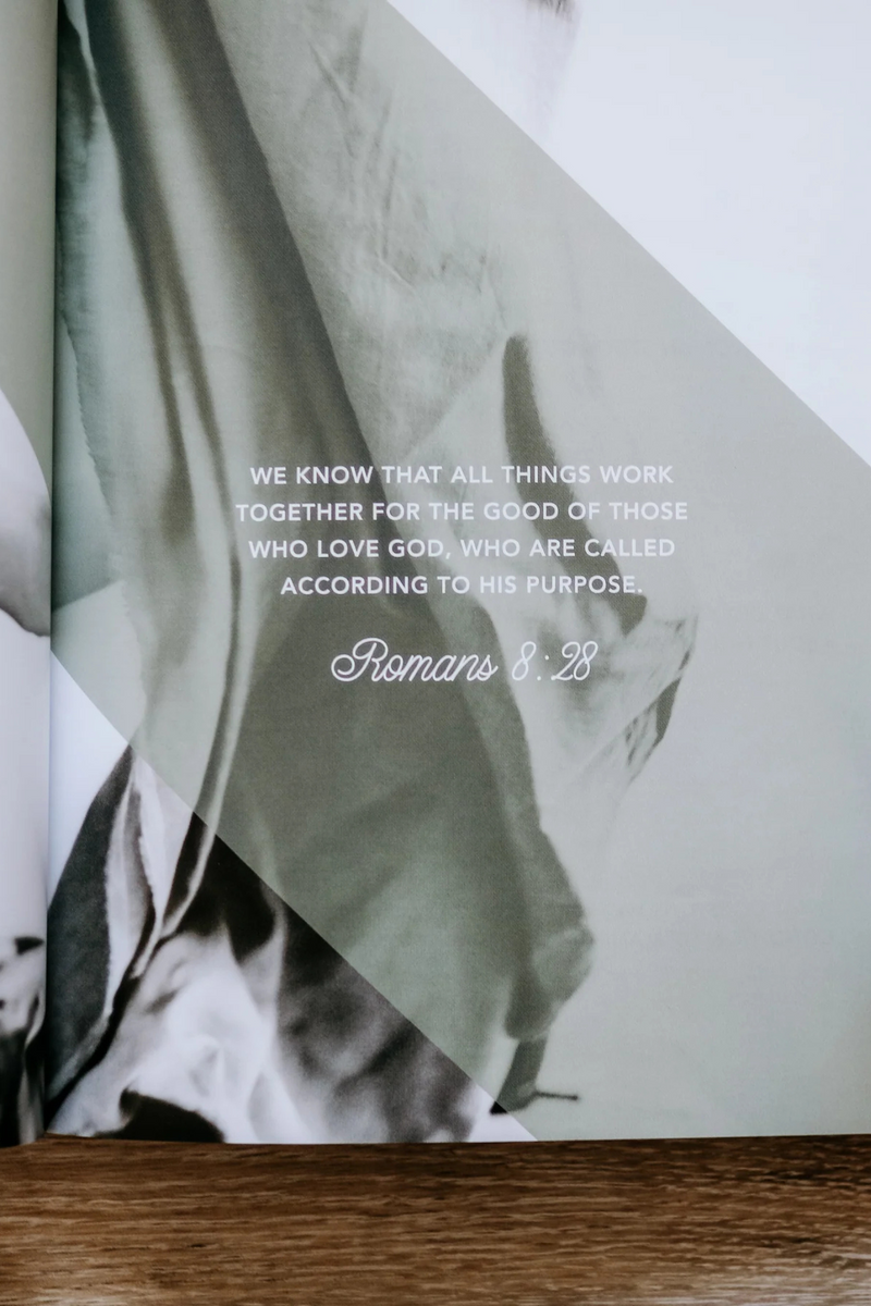 Daughters of Grace | Women of the Bible Study