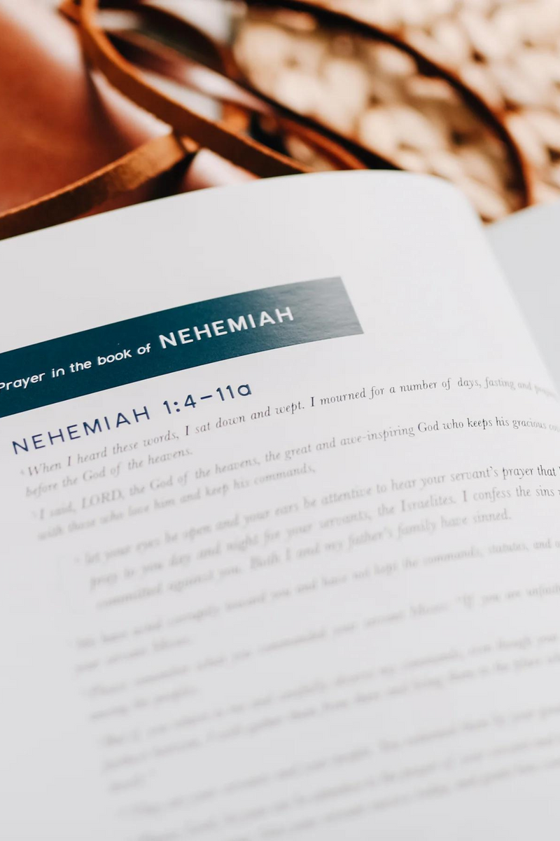 Arise | A Study of Nehemiah