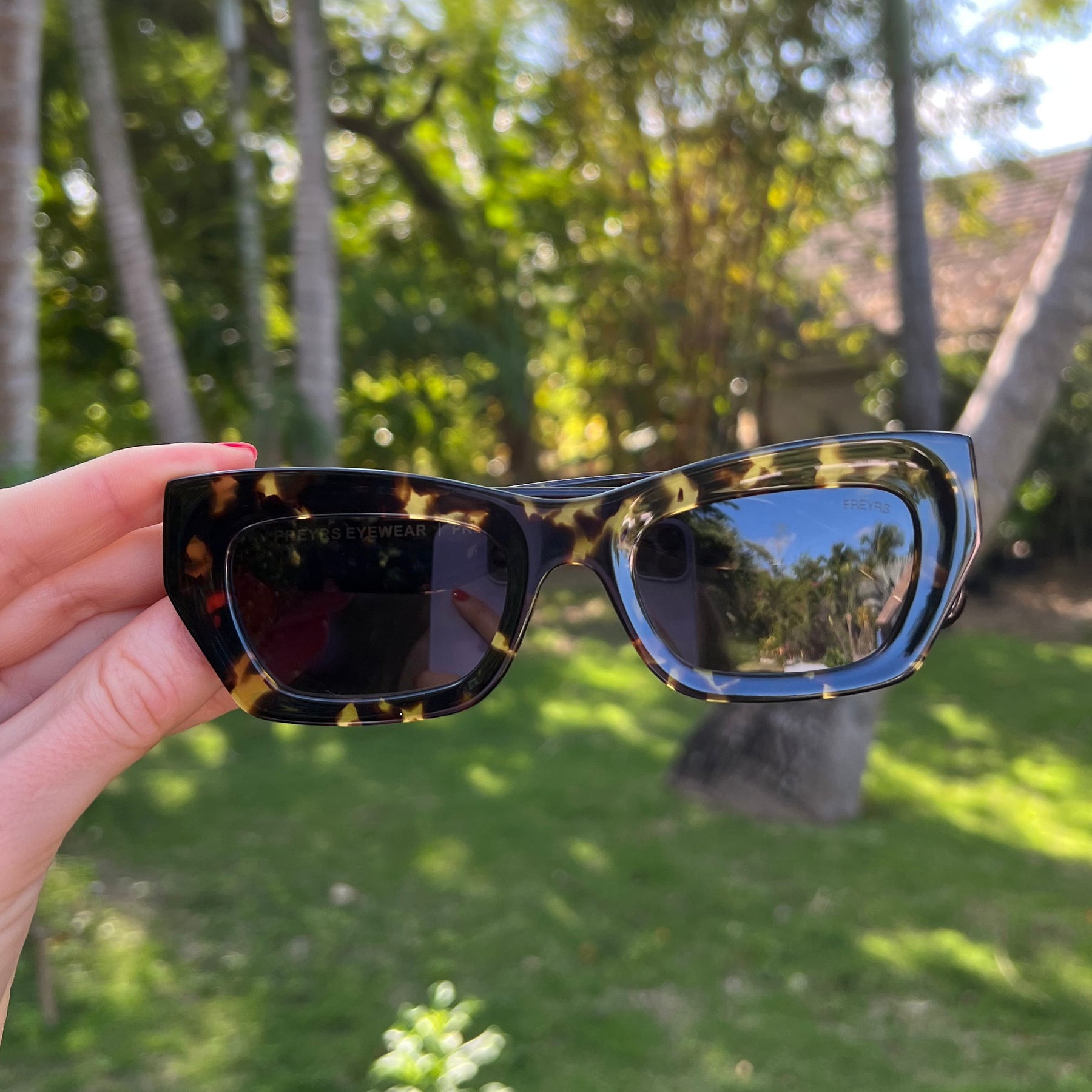 Selina Tort Acetate Sunglasses