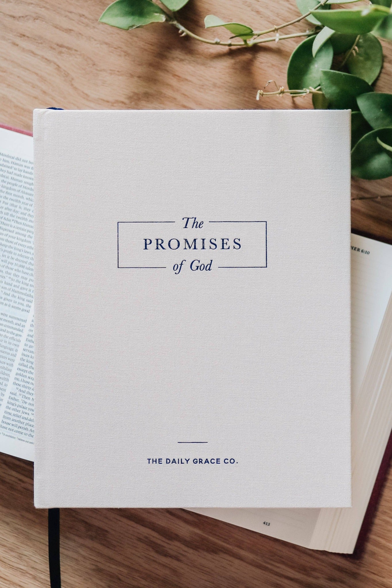 The Promises of God Coffee Table Book