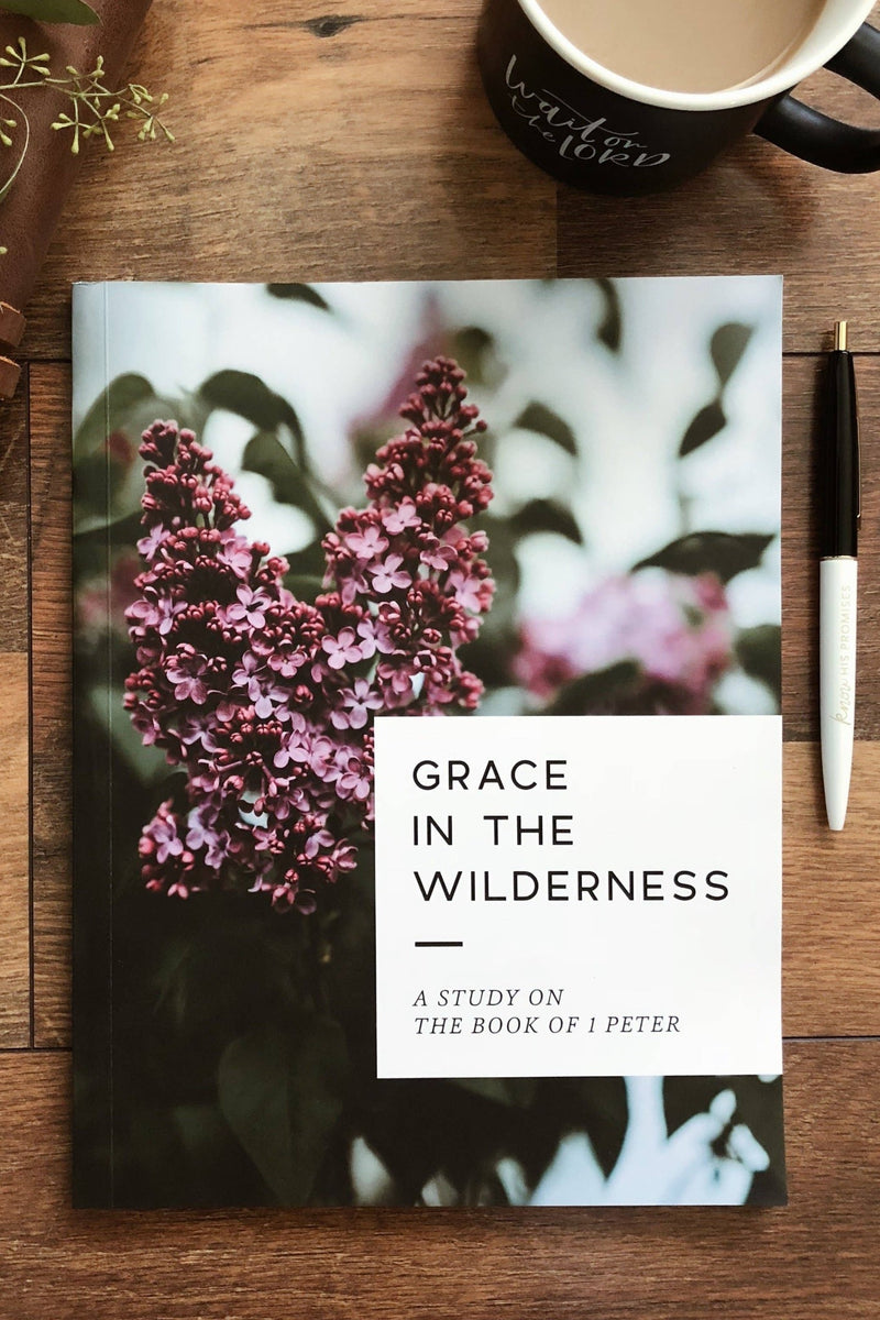 Grace In The Wilderness | 1 Peter Study