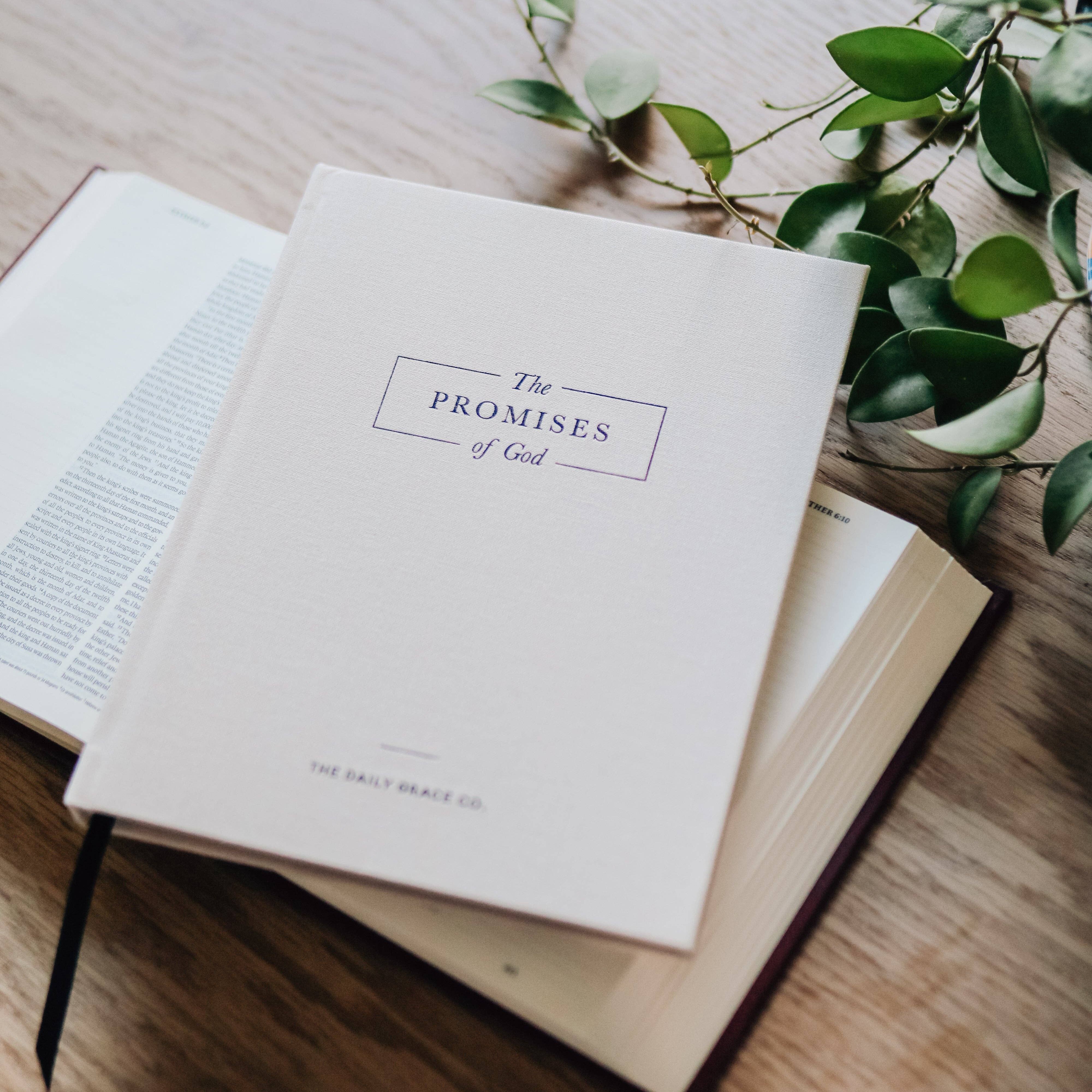 The Promises of God Coffee Table Book